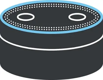 The Rise of Amazon Echo